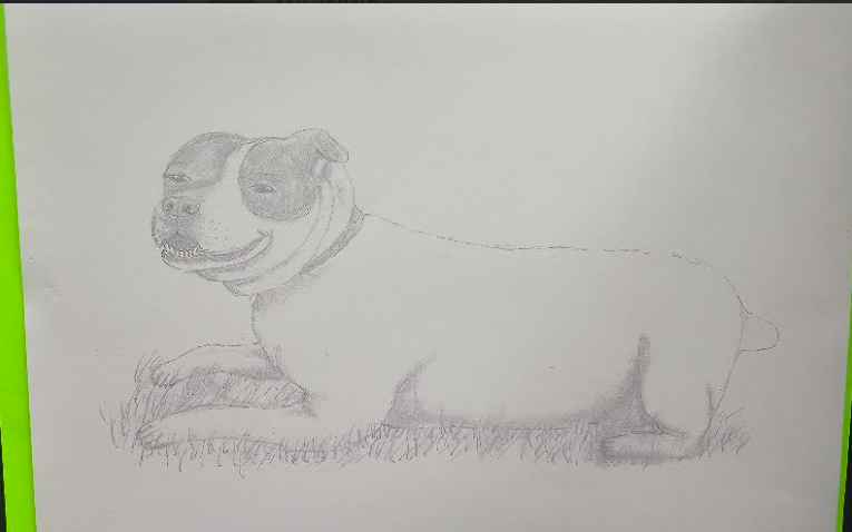Contest entry 1