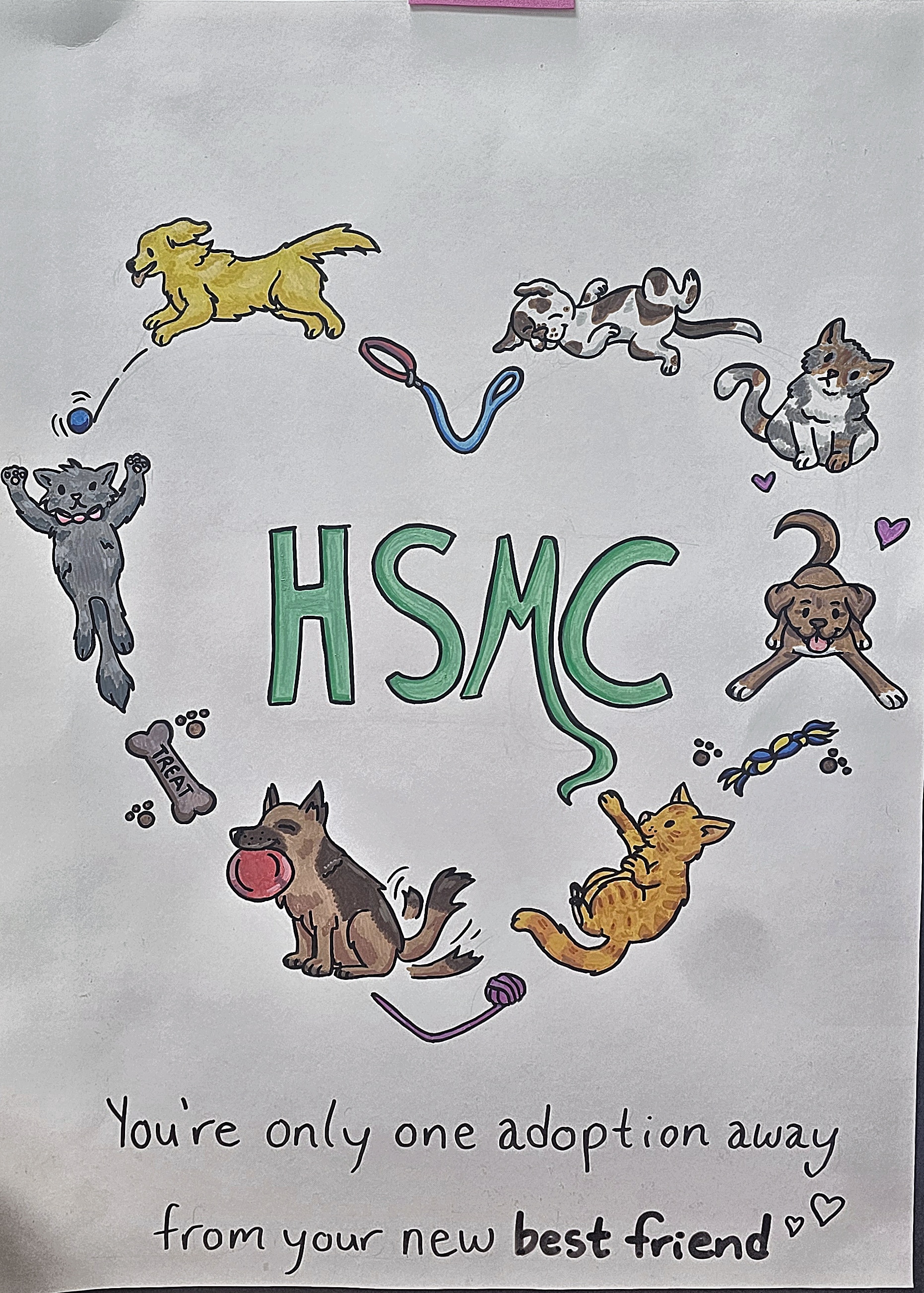 Contest entry 8
