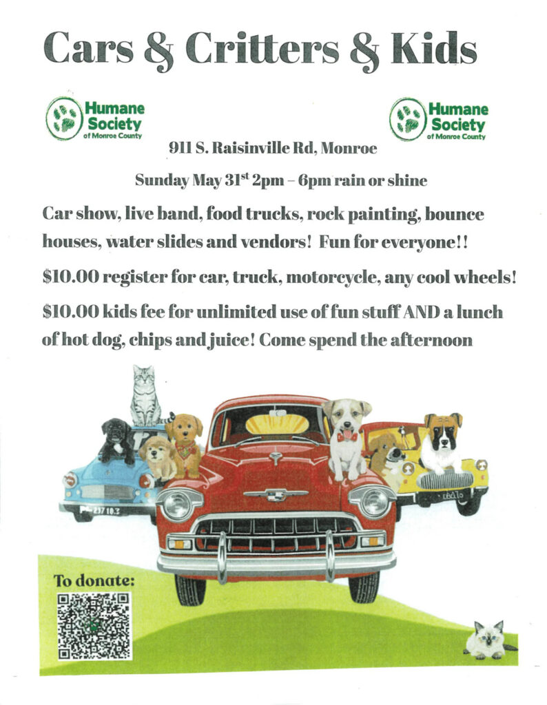 Cars & Critters